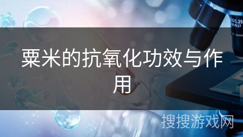 粟米的抗氧化功效与作用