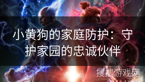 小黄狗的家庭防护:守护家园的忠诚伙伴 小黄狗的家庭防护:守护家园的忠诚伙伴