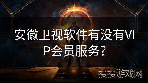 安徽卫视软件有没有VIP会员服务？