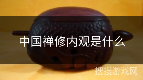 中国禅修内观是什么