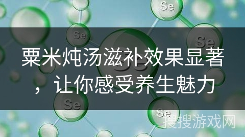 粟米炖汤滋补效果显著,让你感受养生魅力