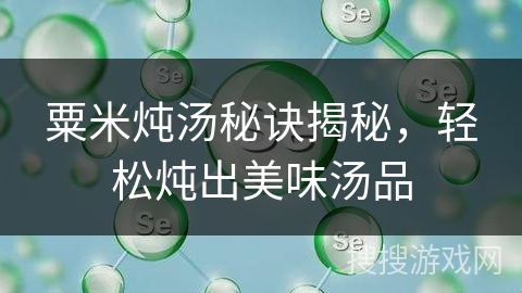 粟米炖汤秘诀揭秘，轻松炖出美味汤品