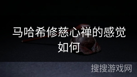 马哈希修慈心禅的感觉如何