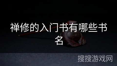 禅修的入门书有哪些书名