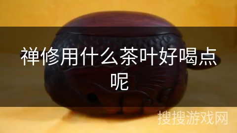 禅修用什么茶叶好喝点呢 禅修用什么茶叶好喝点呢