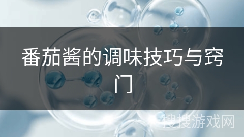 番茄酱的调味技巧与窍门