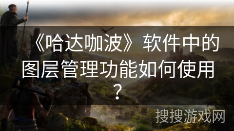 《哈达咖波》软件中的图层管理功能如何使用？