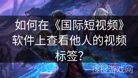 如何在《国际短视频》软件上查看他人的视频标签？