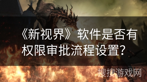《新视界》软件是否有权限审批流程设置？