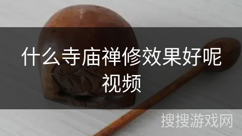 什么寺庙禅修效果好呢视频