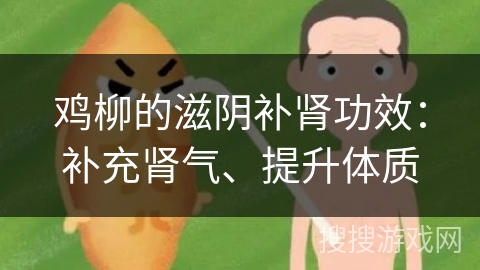 鸡柳的滋阴补肾功效：补充肾气、提升体质