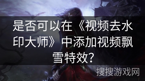 是否可以在《视频去水印大师》中添加视频飘雪特效？