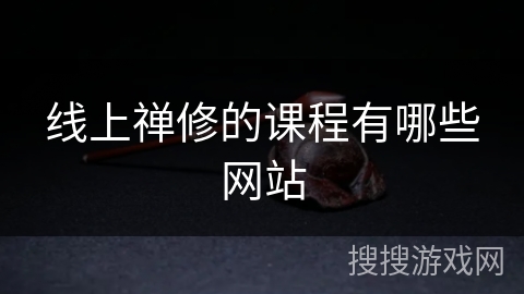 线上禅修的课程有哪些网站