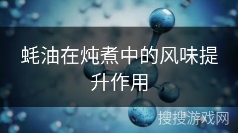 蚝油在炖煮中的风味提升作用