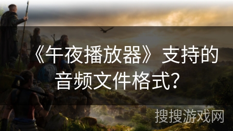 《午夜播放器》支持的音频文件格式？
