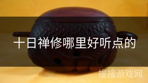 十日禅修哪里好听点的