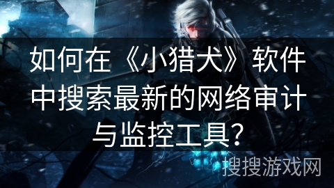 如何在《小猎犬》软件中搜索最新的网络审计与监控工具？
