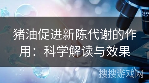 猪油促进新陈代谢的作用：科学解读与效果