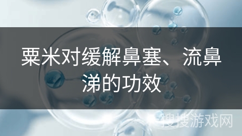 粟米对缓解鼻塞、流鼻涕的功效