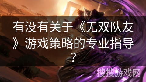 有没有关于《无双队友》游戏策略的专业指导？