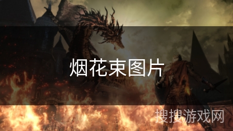 烟花束图片 烟花束图片
