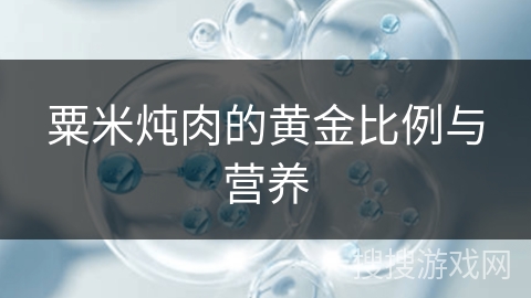 粟米炖肉的黄金比例与营养