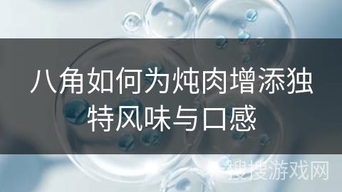 八角如何为炖肉增添独特风味与口感