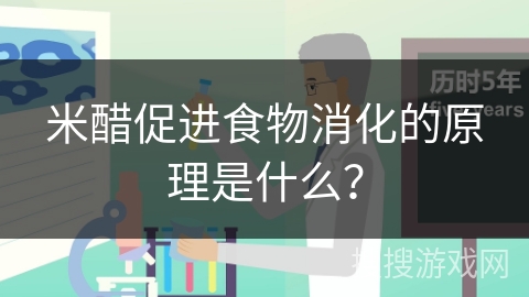 米醋促进食物消化的原理是什么?