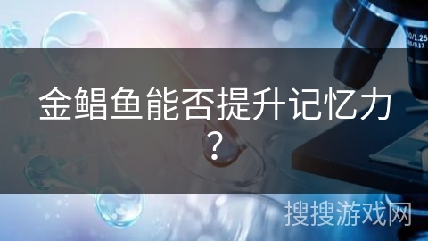 金鲳鱼能否提升记忆力？