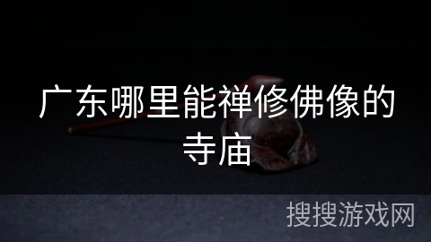 广东哪里能禅修佛像的寺庙 广东哪里能禅修佛像的寺庙