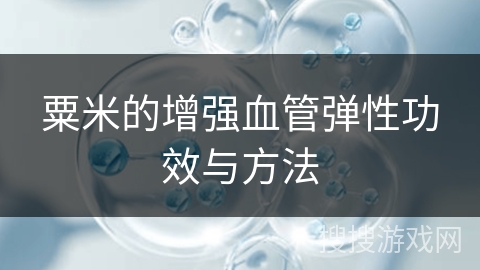 粟米的增强血管弹性功效与方法
