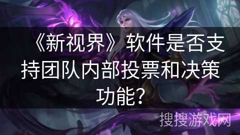 《新视界》软件是否支持团队内部投票和决策功能？