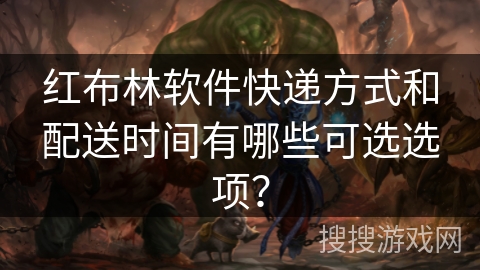 红布林软件快递方式和配送时间有哪些可选选项? 红布林软件快递方式和配送时间有哪些可选选项?