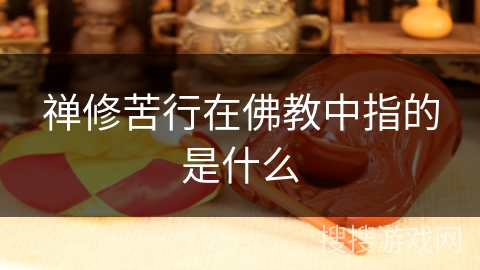 禅修苦行在佛教中指的是什么 禅修苦行在佛教中指的是什么