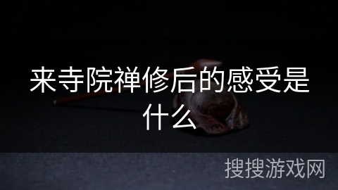来寺院禅修后的感受是什么 来寺院禅修后的感受是什么