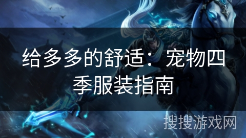 给多多的舒适:宠物四季服装指南 给多多的舒适:宠物四季服装指南