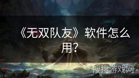 《无双队友》软件怎么用？