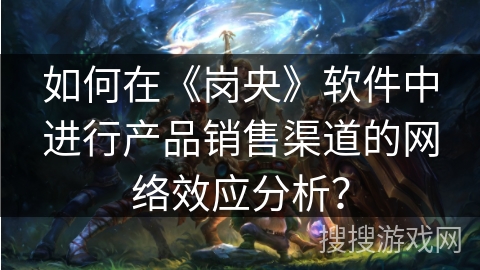 如何在《岗央》软件中进行产品销售渠道的网络效应分析？