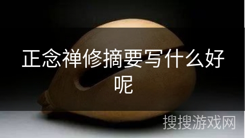 正念禅修摘要写什么好呢