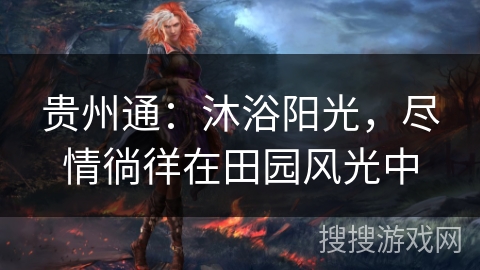 贵州通：沐浴阳光，尽情徜徉在田园风光中