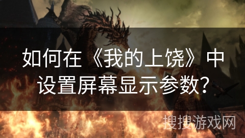 如何在《我的上饶》中设置屏幕显示参数？