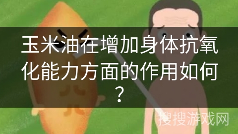 玉米油在增加身体抗氧化能力方面的作用如何？