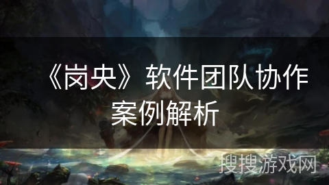 《岗央》软件团队协作案例解析 《岗央》软件团队协作案例解析