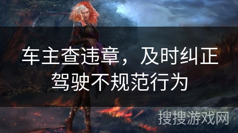 车主查违章，及时纠正驾驶不规范行为