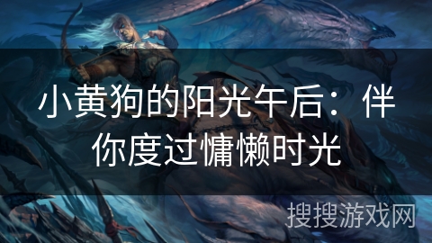 小黄狗的阳光午后：伴你度过慵懒时光