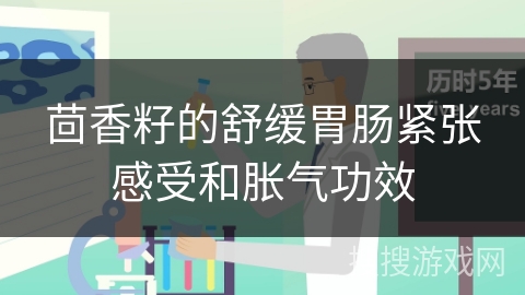 茴香籽的舒缓胃肠紧张感受和胀气功效