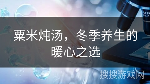 粟米炖汤，冬季养生的暖心之选