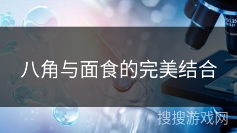 八角与面食的完美结合