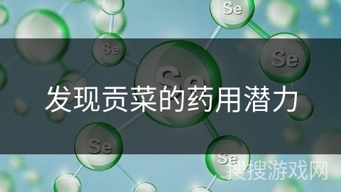 发现贡菜的药用潜力