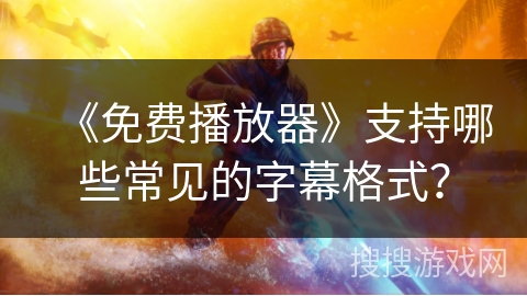 《免费播放器》支持哪些常见的字幕格式？